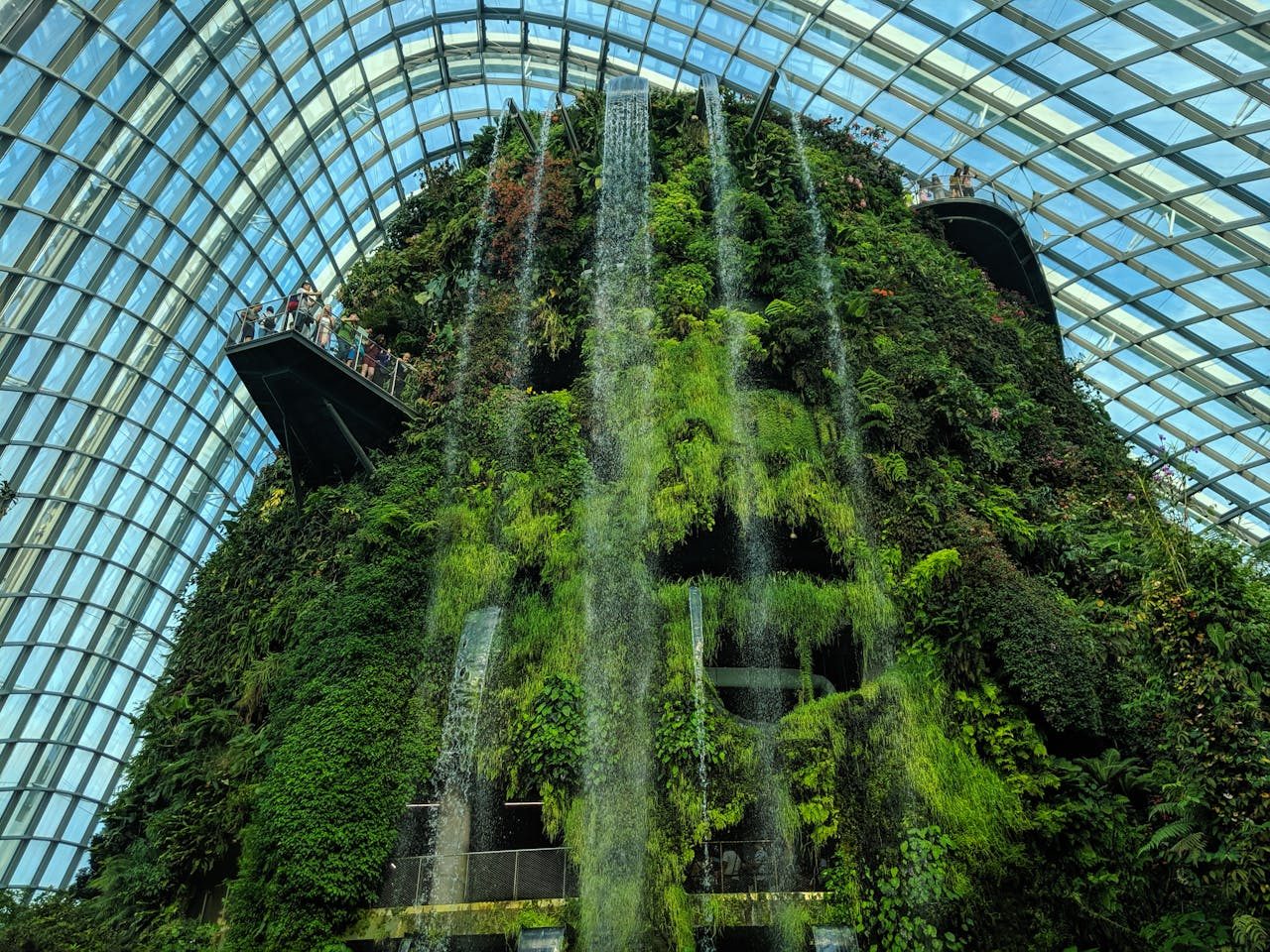 Gardens by the Bay Tickets – Flower Dome + Cloud Forest with Jurassic World: The Experience
